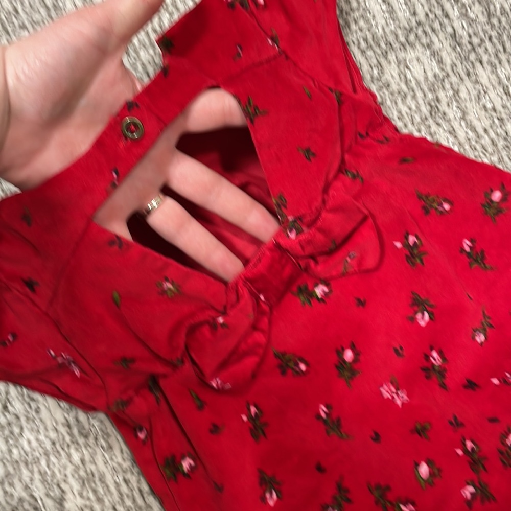 Red Velvet Dress - Picture 3 of 5